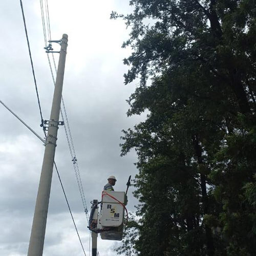 Podas de árvores próximas à rede elétrica